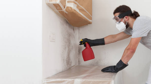Professional Mold Testing technician working in Bordentown, NJ